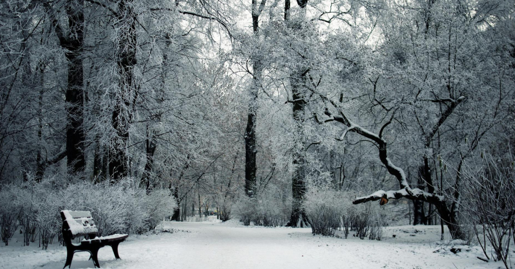 Örökzöldek havi munkanaptára - november, december