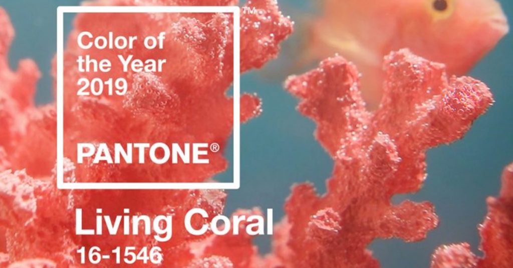 2019 Pantone színe - Íme lerántjuk a leplet az év árnyalatáról!